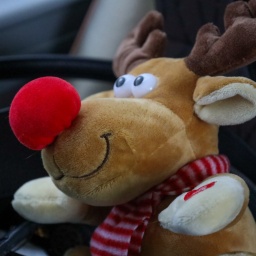 finnland rundreise 2025_7